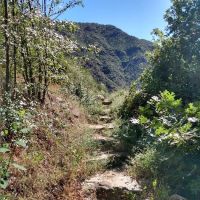 South Fork Campground ico