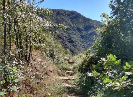 South Fork Campground