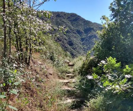 South Fork Campground