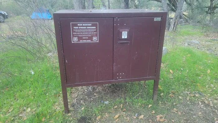 Lumsden Campground Picture 5