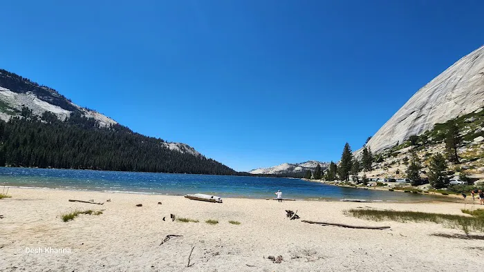 Tioga Lake Campground Picture 4