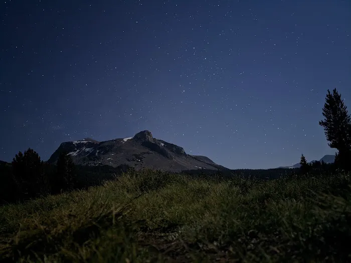 Tioga Lake Campground Picture 7