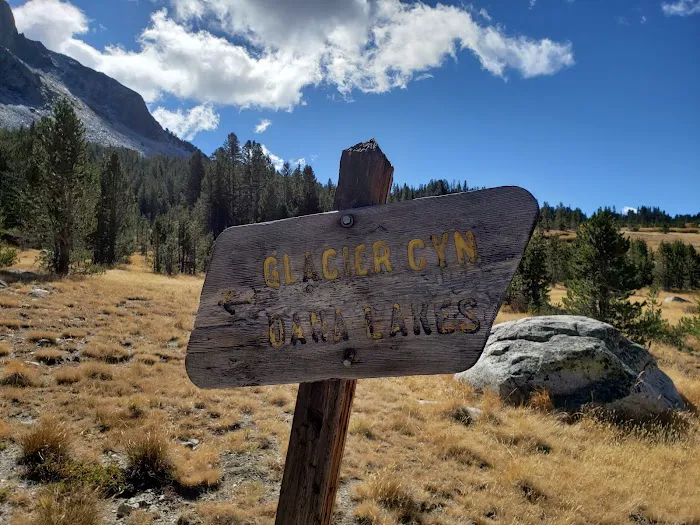 Tioga Lake Campground Picture 6