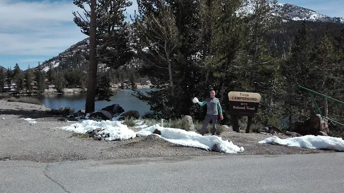 Tioga Lake Campground Picture 5