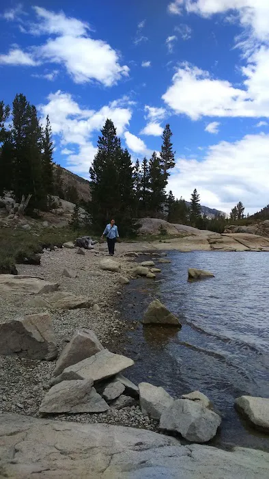Tioga Lake Campground Picture 9