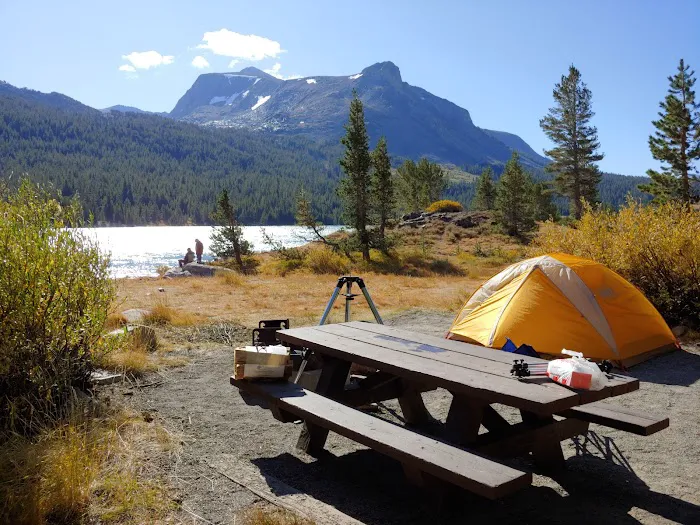 Tioga Lake Campground Picture 2