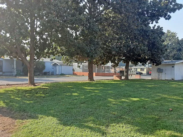 Chico Mobile Home Park Picture 9