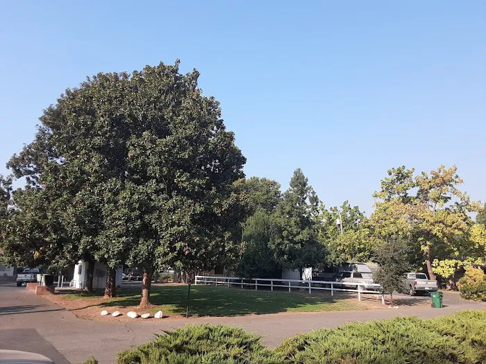Chico Mobile Home Park Picture 6