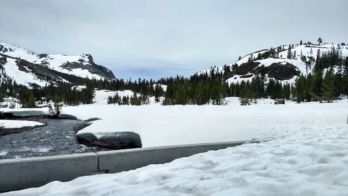Junction Campground Picture 6