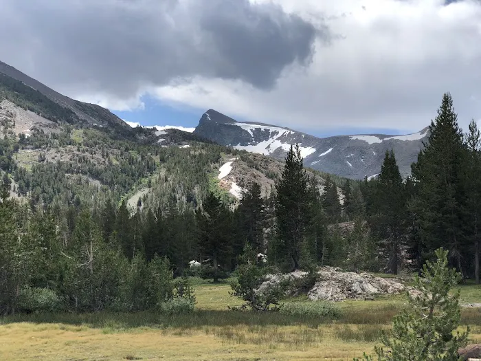 Junction Campground Picture 5