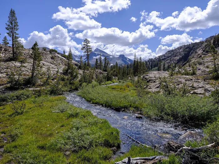 Junction Campground Picture 7
