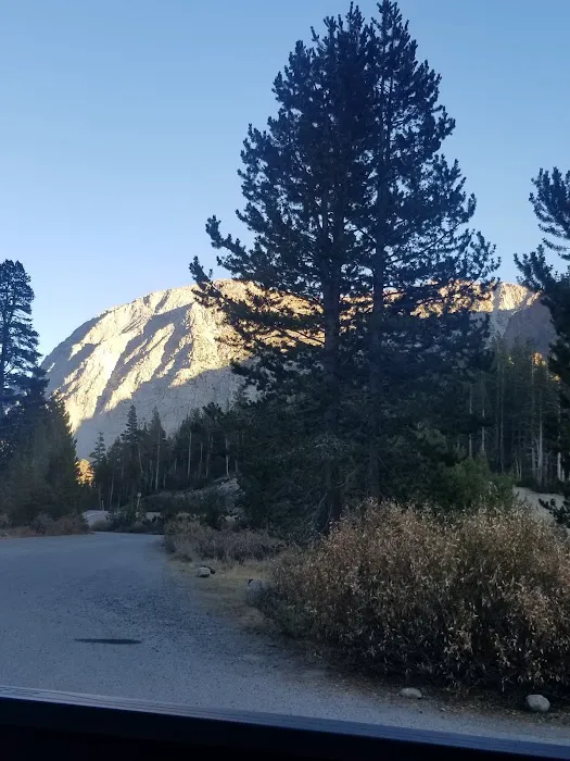 Junction Campground Picture 10