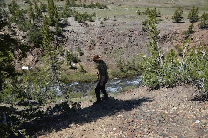 Sawmill Campground Picture 6