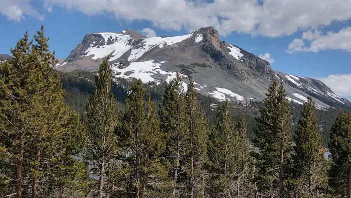 Ellery Lake Campground Picture 7