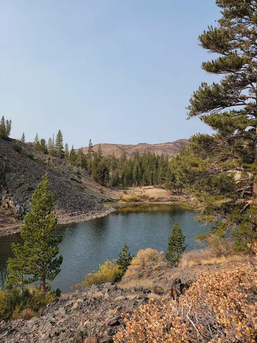 Ellery Lake Campground Picture 9