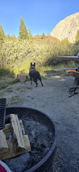 Ellery Lake Campground Picture 1