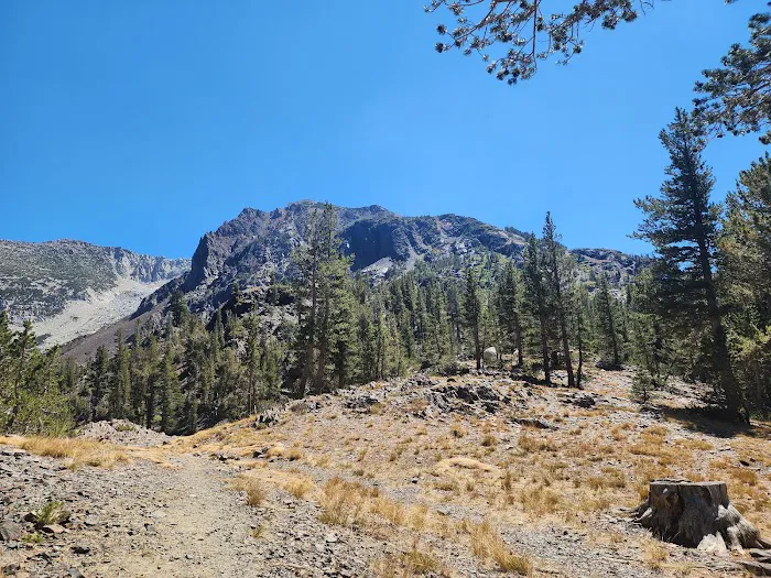 Ellery Lake Campground Picture 3