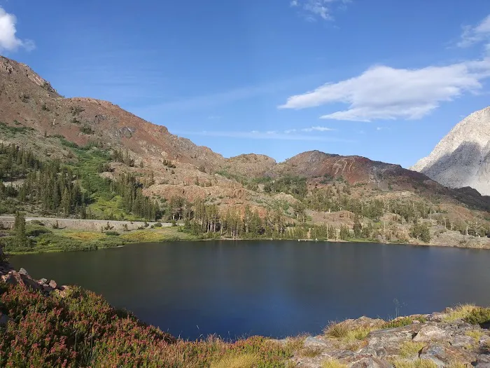 Ellery Lake Campground Picture 4