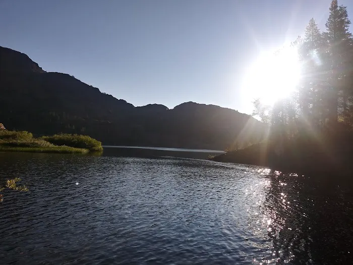 Ellery Lake Campground Picture 6