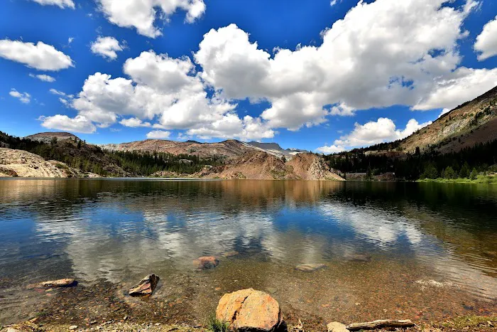 Ellery Lake Campground Picture 5