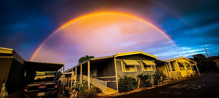 Casa De Flores Mobile Home Community Picture 9
