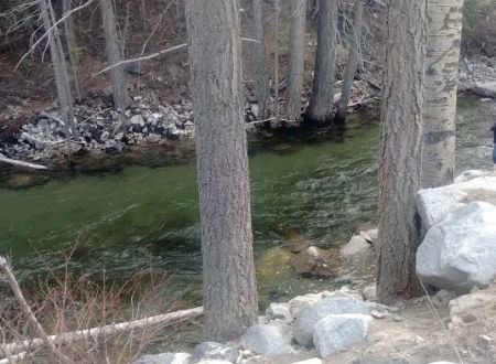 Big Bend Campground