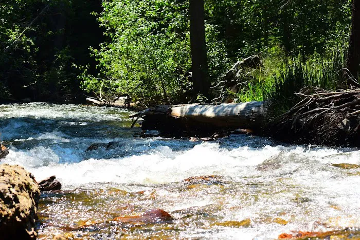 Aspen Campground Picture 5