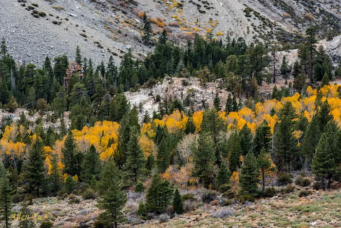 Aspen Campground Picture 6