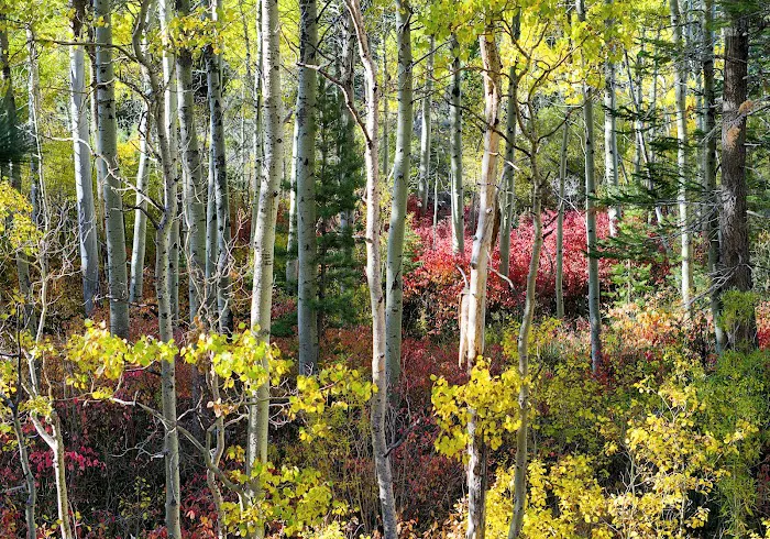 Moraine Campground Picture 8