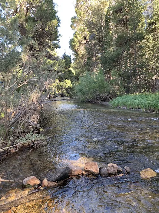 Moraine Campground Picture 9