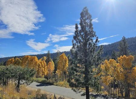 Moraine Campground