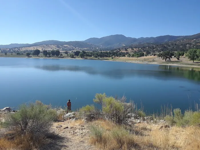Lower Lee Vining Campground Picture 4