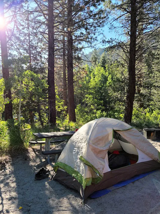 Lower Lee Vining Campground Picture 2