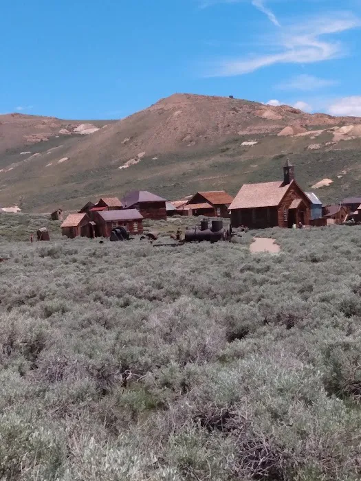 Lower Lee Vining Campground Picture 6