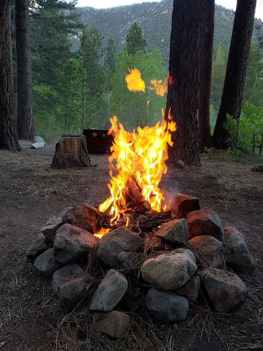 Lower Lee Vining Campground Picture 7
