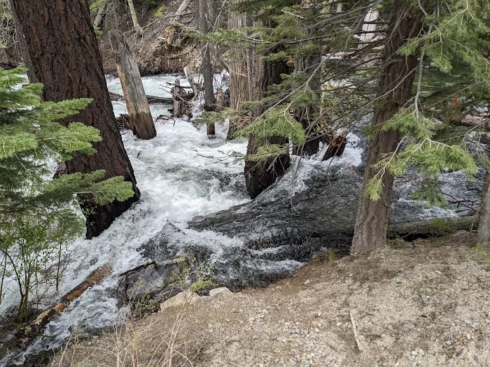 Lower Lee Vining Campground Picture 9
