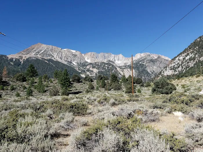 Lower Lee Vining Campground Picture 5