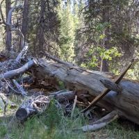 Lower Lee Vining Campground ico