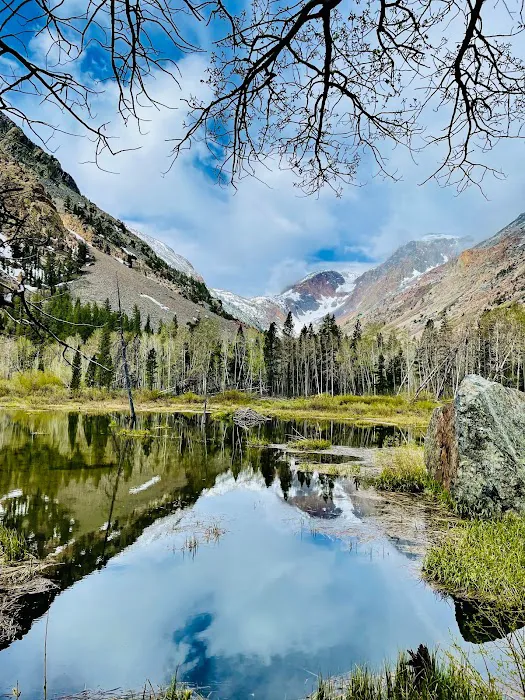 Lundy Lake Resort Picture 5