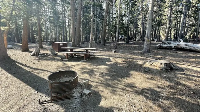 Trumbull Lake Campground Picture 4