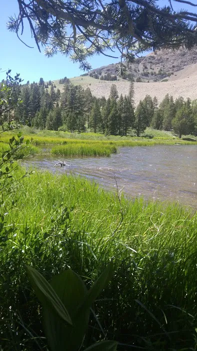 Trumbull Lake Campground Picture 3