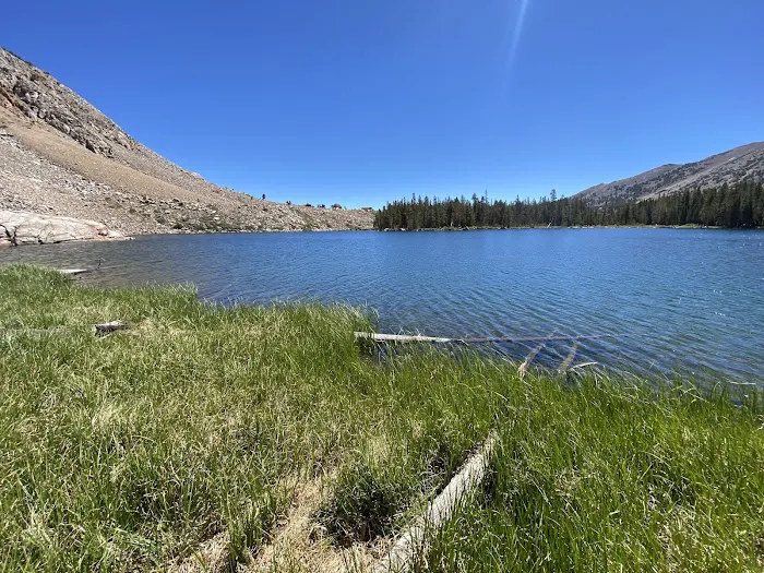 Trumbull Lake Campground Picture 8