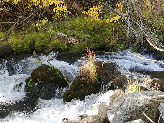 Lundy Canyon Campground Picture 2