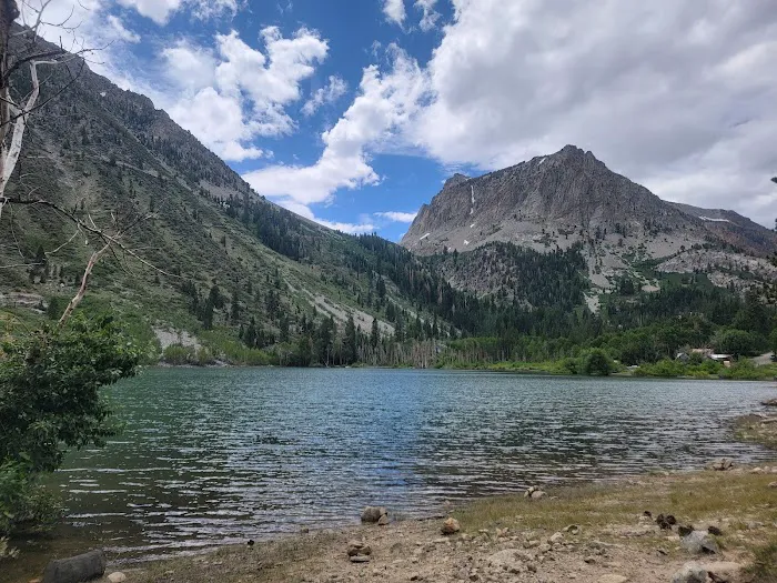 Lundy Canyon Campground Picture 8