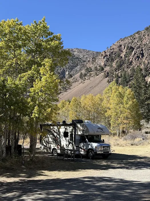 Lundy Canyon Campground Picture 1