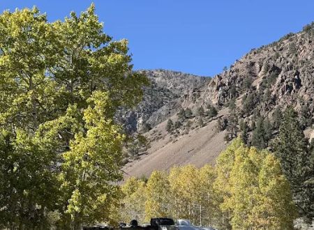 Lundy Canyon Campground
