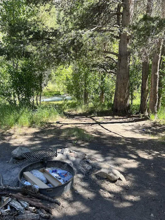 Lundy Canyon Campground Picture 5