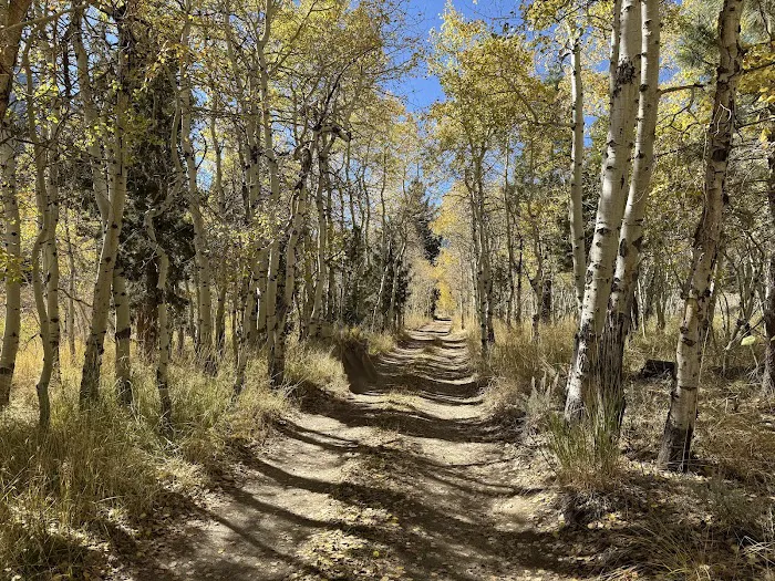 Lundy Canyon Campground Picture 3