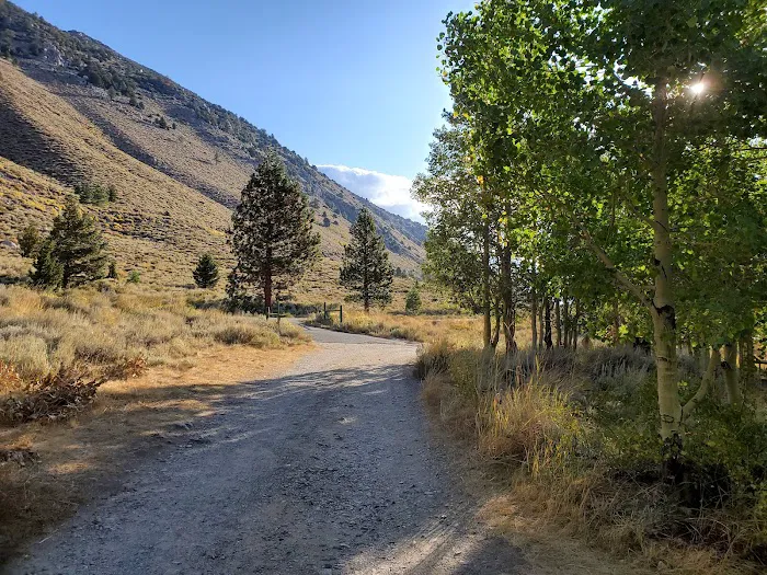 Lundy Canyon Campground Picture 6