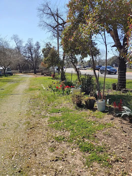 Loomis RV Park Picture 8